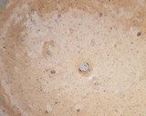 Foto del paso 3 de la receta: Bizcocho de zanahorias, especias y nueces. Integral y Sin azúcar