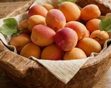 صورة لخطوة 2 من وصفة مربى المشمش🍑 مع كل نصائح لنجاحه لمدة أطول