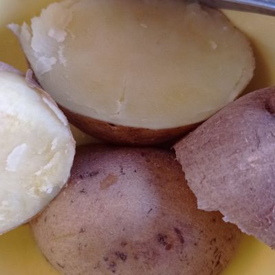 Langkah 2