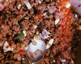 Foto del paso 2 de la receta: Bombas de queso y carne