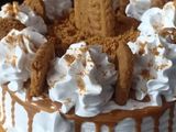 બીસકોફ કેક (Biscoff Cake Recipe In Gujarati)
