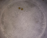 Foto del paso 7 de la receta: Bizcochuelo fácil y con tres ingredientes