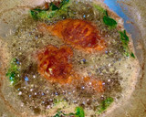 சிக்கன் டிரம்ஸ்டிக் (Chicken drumstick recipe in tamil) ரெசிபி ஸ்டேப் 5 புகைப்படம்
