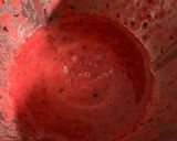 Foto del paso 2 de la receta: Mermelada de ciruela roja en thermomix
