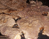 Foto del paso 2 de la receta: Bistec encebollado 🍽