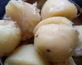 Potato veg sandwich recipe step 1 photo