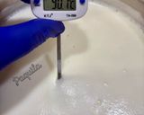 Foto del paso 2 de la receta Queso Cottage Aromatizado con romero