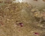 Foto langkah ke 1 dari resep Sop Ceker Bumbu Pala.