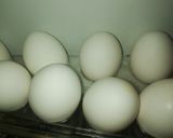 Foto del paso 1 de la receta: Galletas de avena