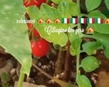 Foto del passaggio 2 della ricetta Merluzzo e filetti di platessa facile in friggitrice ad aria 👩‍🍳🏡🇮🇹🌍