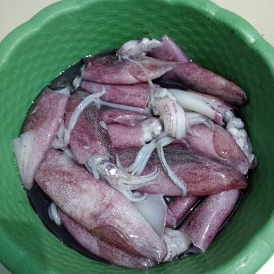 Langkah 1