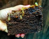 A picture of step 10 of Classic Walnut Brownie.