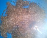 Foto del paso 2 de la receta: Besitos de Coco
