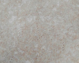 Foto del paso 10 de la receta: Pizza vegana casera