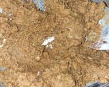 A picture of step 2 of Stuffed Nenua sabzi.