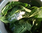 Foto langkah ke 1 dari resep Daun Pepaya dgn Cumi asin.