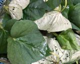 Hình bước làm 1 của món Canh rau lang kho xì dầu (chay)