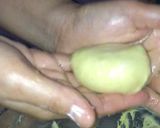 Foto langkah ke 7 dari resep Bomboloni empuk tanpa ulen (metode autolisis).