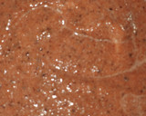 Foto del paso 1 de la receta: Carrot Cake