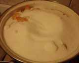 Foto del paso 4 de la receta: Mermelada de Damascos
