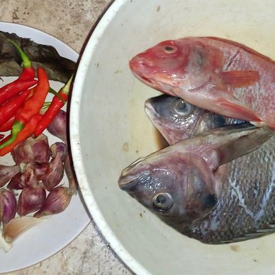 Langkah 1