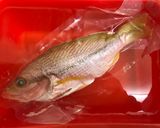 🐟年年有魚🐟港式清蒸黃記仔的食譜步驟1照片