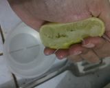 Foto langkah ke 5 dari resep Tumis Sapo Jamur Saus Tiram.
