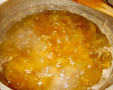 Foto del paso 7 de la receta: Dulce de cayote ¡Manjar de los dioses!