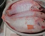Foto langkah ke 2 dari resep 76. Ikan Nila Marinasi Bumbu Kuning (Siap Goreng/Bakar).