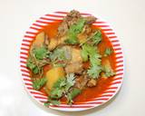 Marsala Chicken Curry with Potatoes recipe step 12 photo