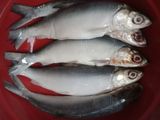 Otak otak bandeng