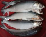 Foto langkah ke 1 dari resep Otak otak bandeng.