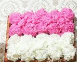 Foto langkah ke 4 dari resep Resep Kue Klepon Merah Putih Anti Gagal.