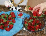 Foto del paso 3 de la receta: Cómo conservar las fresas de 3 a 4 días más