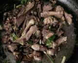 Hình bước làm 6 của món Chim bồ câu xào 🍄