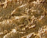 Foto del paso 4 de la receta: Bizcochuelo de zanahoria y avena, mircoondas.Apto vagetarianos