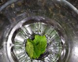 Foto del paso 1 de la receta: Mojito Matcha