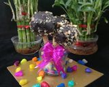 વોલનટ્સ પોપ્સ (Walnut Pops Recipe in Gujarati) રેસીપી સ્ટેપ6ફોટો