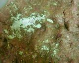 صورة لخطوة 1 من وصفة برجر طازج بصوص الرانش