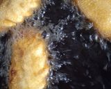 Foto del paso 6 de la receta: Empanadas de carne fritas
