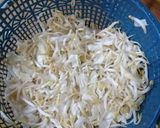 Foto langkah ke 1 dari resep Toge ceria.