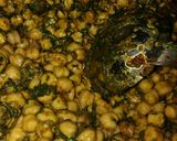 A picture of step 6 of Chole with spinach.