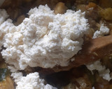 Foto del paso 3 de la receta: Tarta de zapallito, berenjena ahumada yricota con masa de queso😀