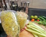 Foto del paso 1 de la receta: Tostadas de "ceviche" de germen de lenteja