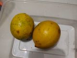 Acar Mentah