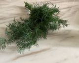 Une image de l'étape 4 de 🥣🍀Sauce Aneth 🥛Yaourt Grec 🍃.