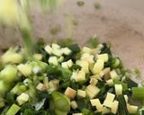 A picture of step 2 of Deconstructed Wonton Soup.