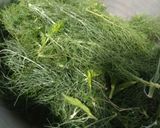 Foto langkah ke 1 dari resep Urap Daun Adas.