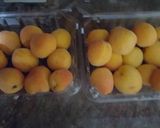 Foto del paso 1 de la receta: Chabacanos en almíbar