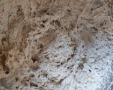 Gesztenyés krémes, szénhidrátszegény, vegán recept fázis 5 fotója